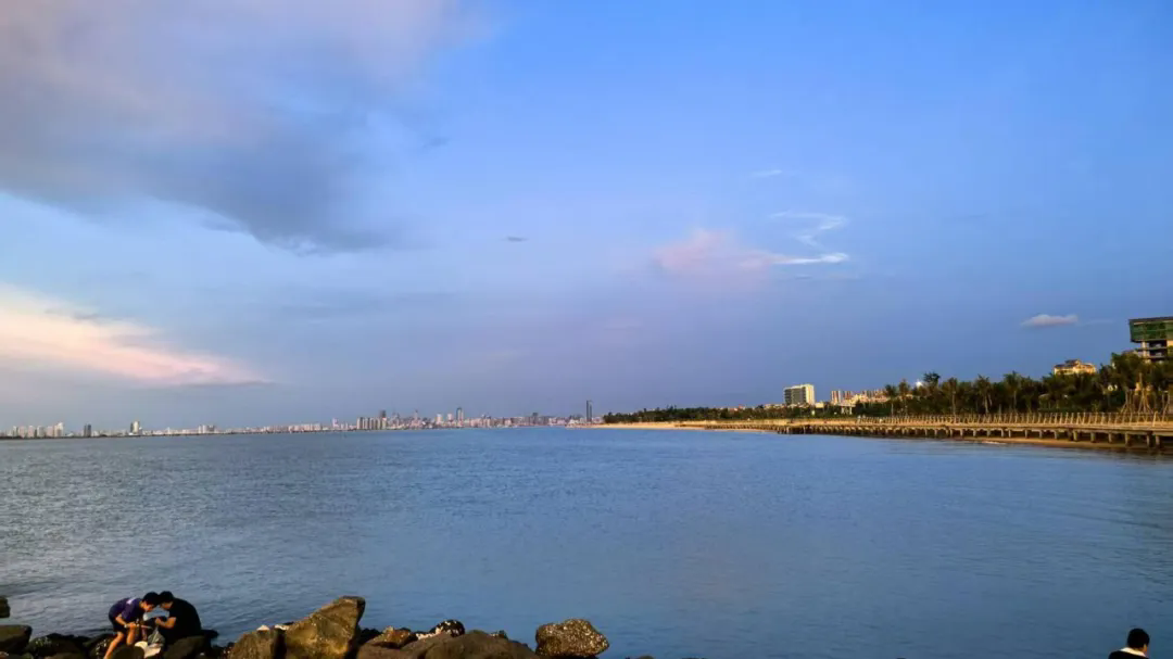 8.webp.png 8.webp.png