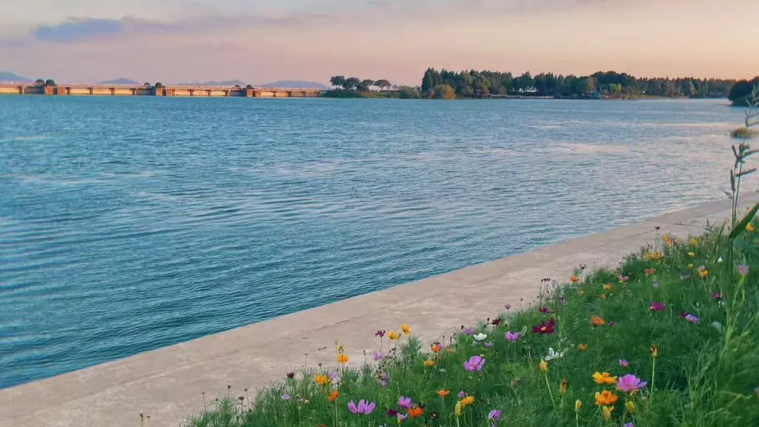 11.webp.png 11.webp.png